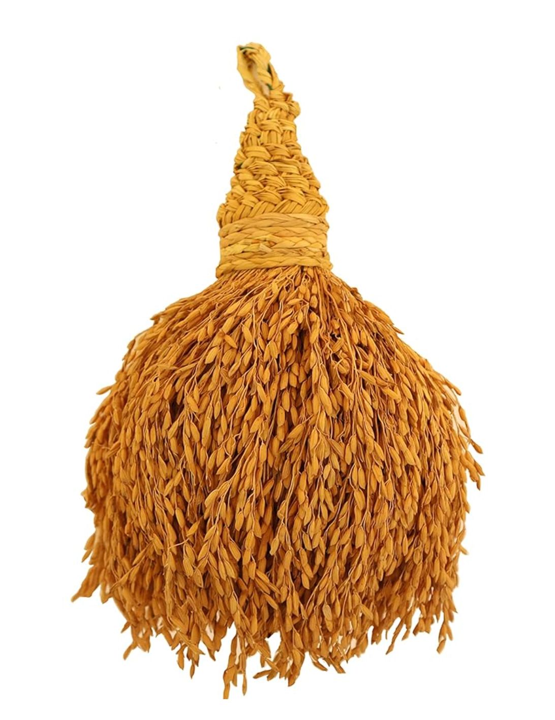 /storage/photos/1/GreenWorks/WhatsApp Image 2025-07-04 at 00.44.20.jpeg